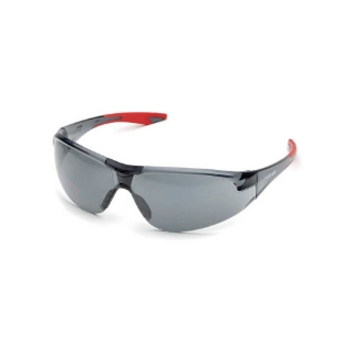 Picture of ERB Avion Eyewear | Gray Hc/Pc Lens | Red Temple Tips